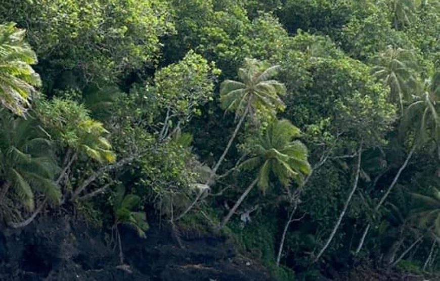 Randonnée Tahitienne