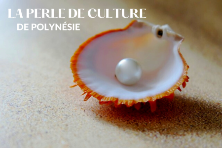 Les perles de Polynésie, un trésor unique de l’artisanat local