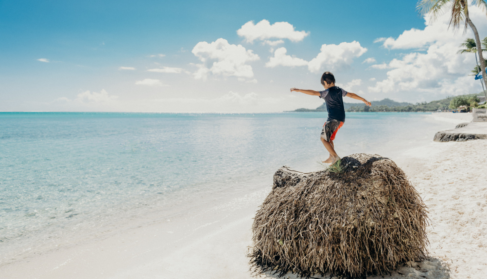 Jours 10 à 12 : À la rencontre des dauphins et requins de Rangiroa